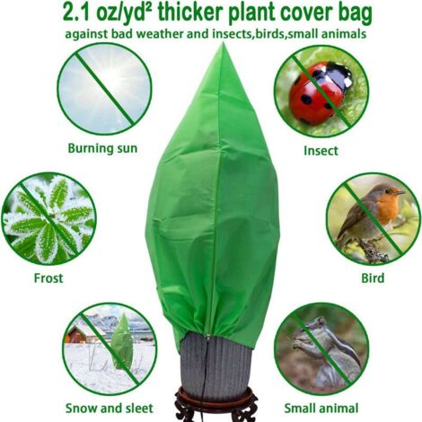 Paquete De 3 Tiendas De Campaña Plegables Para