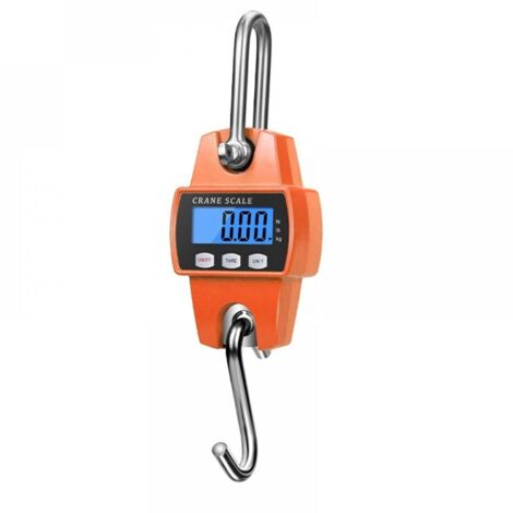 Balance numérique suspendue 300 kg – Mini balance portable avec crochet – Écran LCD rétroéclairé – Alimentation 3 piles AA (1/5)
