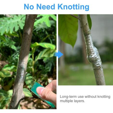 Nastro Per Innesti Trasparente | 2 Rotoli Da 100m | Autoadesivo E Biodegradabile - Foto 5