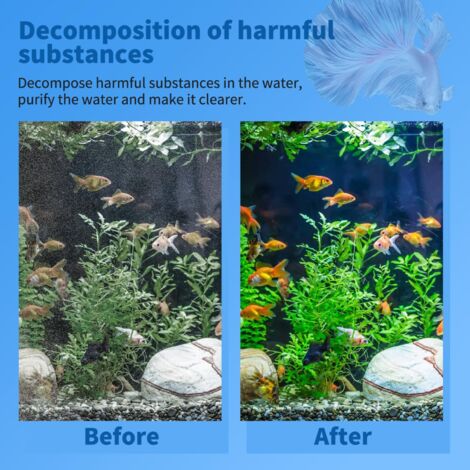 Tetra Anelli Filtranti In Ceramica - Italia - Foto 11