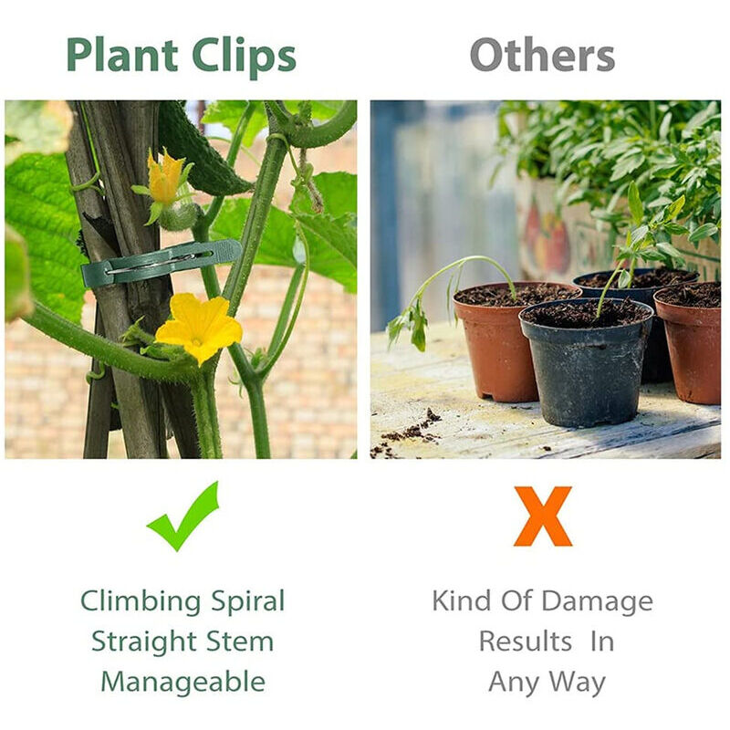 50 Clips Pour Plantes Grimpantes - Attaches Vertes Réutilisables Pour Tomates, Concombres, Haricots - Faciles à Installer