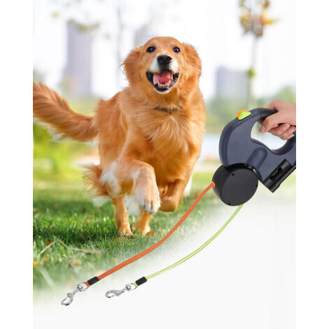 Laisse Double pour Chien Rétractable Automatique avec LED et Rotation 360°,Double Tête,3 Meter, bis zu 22,8 kg,pour 2 Petits Chiens/Chats (1/5)