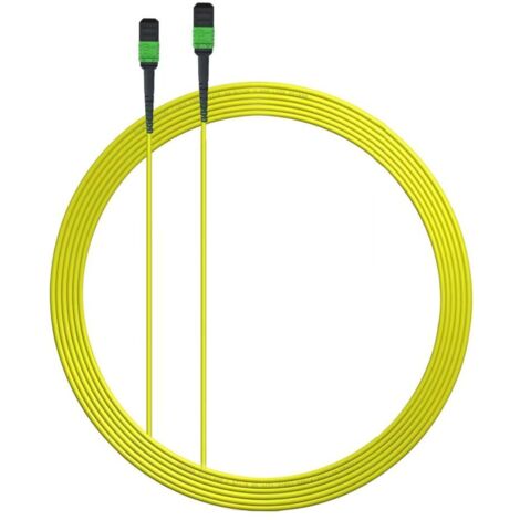 Elfcam Câble Fibre MPO/APC à MPO/APC 12 Fibres 2M Monomode Type B - 3.0mm LSZH OS2 9/125 μm Sans Pin, Compatible 40G/100G/200G/400G/800G/1.6T