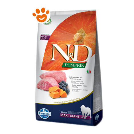 Farmina Dog N&ampD Pumpkin Adult Maxi Giant Agnello, Zucca e Mirtillo  - Farmina Dog N&ampD Pumpkin Adult Maxi Giant Agnello, Zucca e Mirtillo - Sacco Da 12 Kg