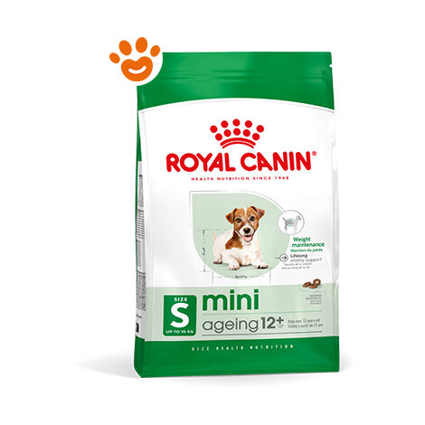 Royal Canin SHN Dog Mini Ageing 12+  - Royal Canin SHN Dog Mini Ageing 12+ - Sacco Da 800 Gr