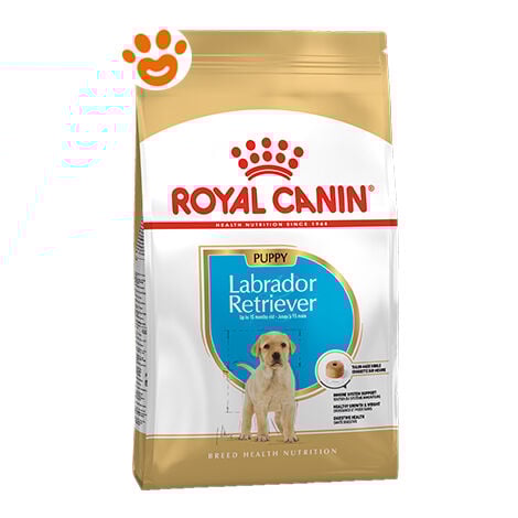 Royal Canin Dog Puppy Labrador  - Royal Canin Dog Puppy Labrador - Sacco Da 12 Kg