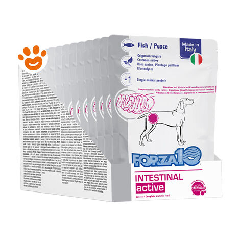 Forza10 Dog Intestinal Active Pesce - Forza10 Dog Intestinal Active Pesce - Bustina Da 100 Gr