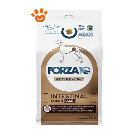 Forza10 Cane Veterinary Intestinal Colon fase 1 4 kg