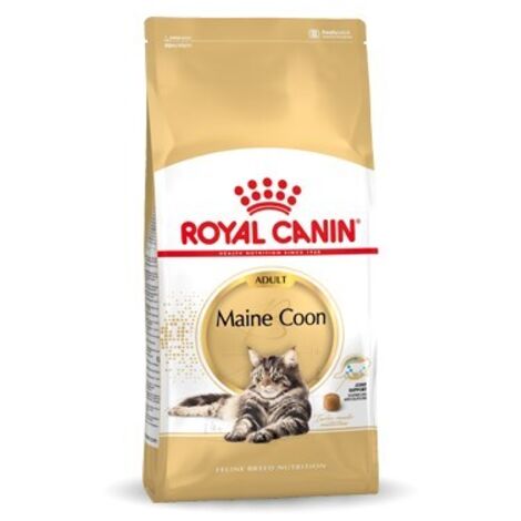 Royal Canin FBN Cat Maine Coon  - Royal Canin FBN Cat Maine Coon - Sacco Da 10 Kg