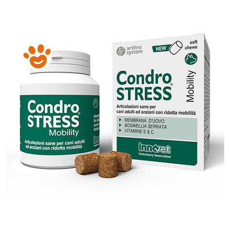 Innovet Dog Condrostress Mobility - Innovet Dog Condrostress Mobility - Confezione Da 60 Chews