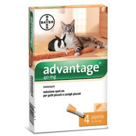 Advantage antiparassitario spot-on 4 pipette per gatti e conigli fino a 4 kg