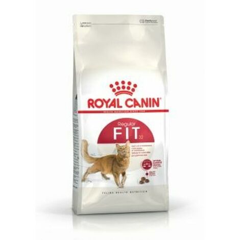 Royal Canin Gatto FHN Fit 32 400gr