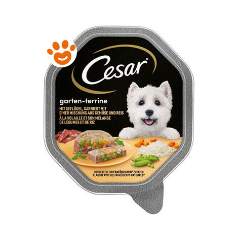 Cesar Cane Selezioni dell'orto 150gr Pollo Carote ed Erbe di provenza