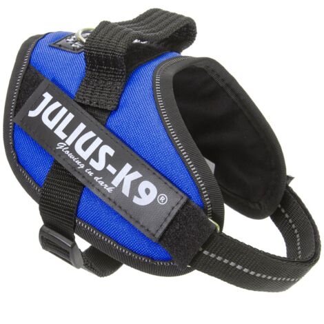 Julius ArnМ©s per il cane Idc Mini Mini Blue