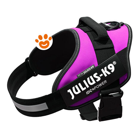 Pettorina IDC Julius K9 Powerharness (ITA)  - Pettorina IDC Julius K9 Powerharness (ITA) - Fucsia, XXS / Baby 2 (33-45cm)