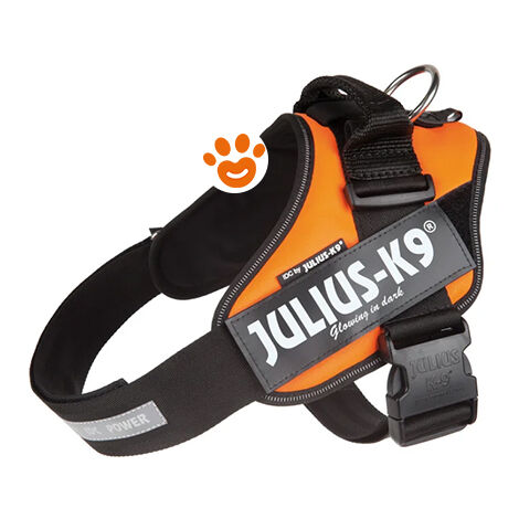 Pettorina IDC Julius K9 Powerharness Con Fantasia (ITA)  - Pettorina IDC Julius K9 Powerharness Con Fantasia (ITA) - Arancio Fluo, XL / Taglia 2 (71-96cm)