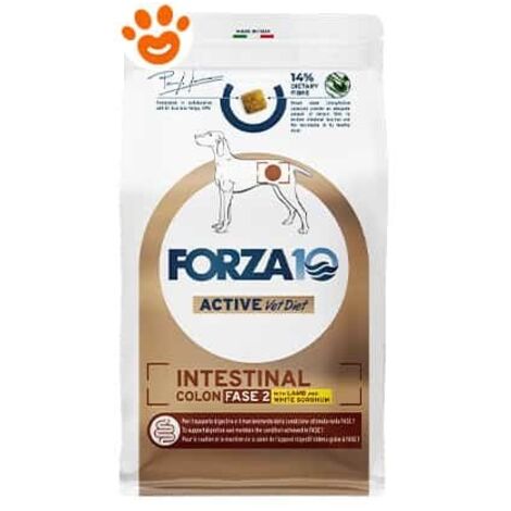 Forza10 Dog Active VetDiet Intestinal Colon Fase 2 Agnello e Sorgo