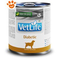 Farmina Dog Vet Life Diabetic - Farmina Dog Vet Life Diabetic - Lattina Da 300 Gr