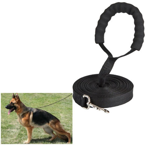 Laisse de Dressage pour Chien - 10 m de Long - en Nylon - pour Grands Chiens - avec poignée rembourrée Confortable - pour Le Suivi des Animaux de Compagnie, Le Camping, Le Jeu et Le Jardin (10 m) (1/5)