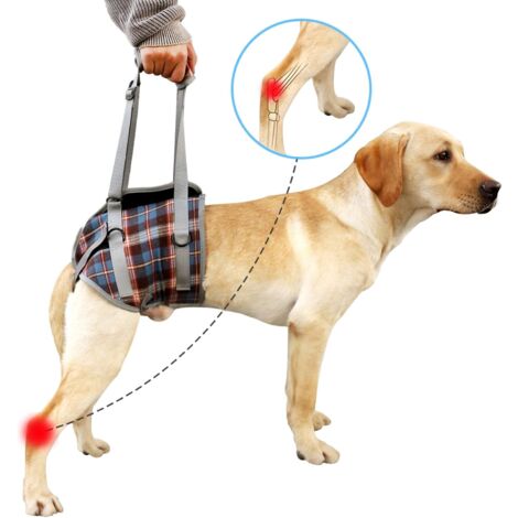 Harnais de soutien pour chien, pattes arrière pour animaux de compagnie, levage réglable, sangle de récupération pour chien, rééducation, aide canine pour la marche des chiens âgés (S)