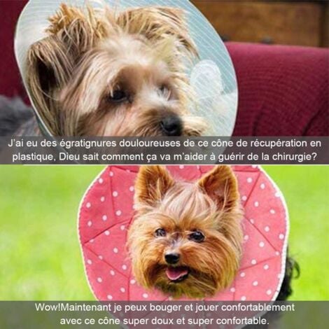 Comfy Cone-Collerette confortable de post-chirurgie pour chats et chiens, robuste, imperméable, résistante aux griffures et morsures, facile à nettoyer, avec attache ajustable