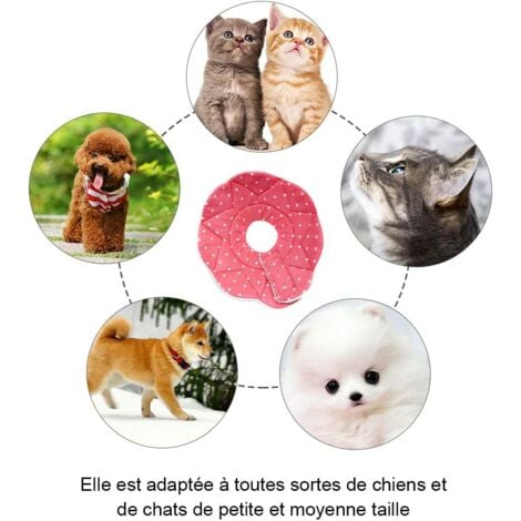 Comfy Cone-Collerette confortable de post-chirurgie pour chats et chiens, robuste, imperméable, résistante aux griffures et morsures, facile à nettoyer, avec attache ajustable