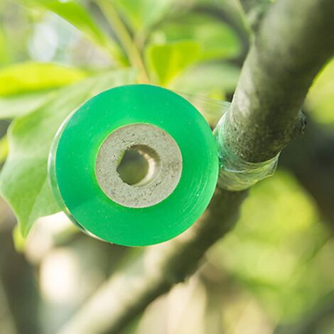 4 Rouleaux de Ruban à Greffer, 100 M x 2 CM, Ruban Extensible de Greffe d'Arbre, Ruban de Réparation de Plantes, pour Bourgeons, Plantes, Réparation de Plantes