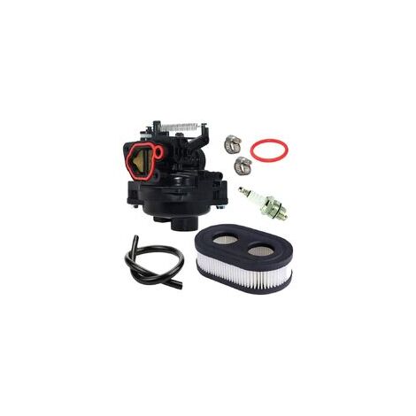 Carburateur de Qualité 799584 pour Moteurs Briggs et Stratton 09P702-0145-F1 09P702-0098-F1 550Ex 625Ex 675Ex 725Exi 140CC (1/5)