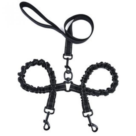 Laisse Chien,Laisse Double pour 2 Chiens, Réfléchissante, Dressage et Entrainement, 360º sans Enchevêtrement (1/5)
