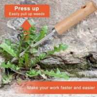 Dénudeur à Herbes 9 Trous En Inox - Gadget De Cuisine Pour Effeuiller Le Basilic, Le Thym, Le Chou Frisé - Lot De 2