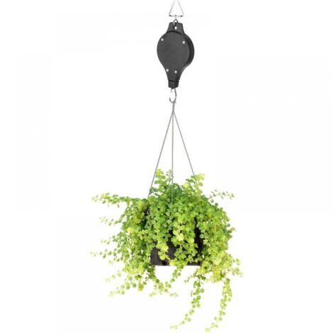 Pflanzenroller Mit Rädern - Praktische Untersetzer Für Blumentöpfe