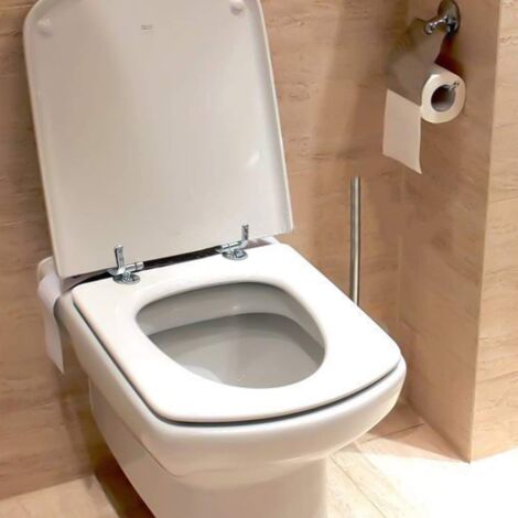 WC-Sitz-Scharnierschrauben Aus Edelstahl – 2 Stück, Ersatzbefestigung Für Rückseitige & Wandhängende Toiletten