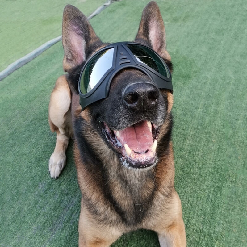 Buy dog goggles german shepherd Shop