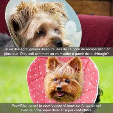 1PC（S）Comfortable Post-Surgery Collar for Cats and Dogs, Sturdy, Waterproof, Scratch and Bite Resistant, Easy to Clean, with Adjustable Fastener