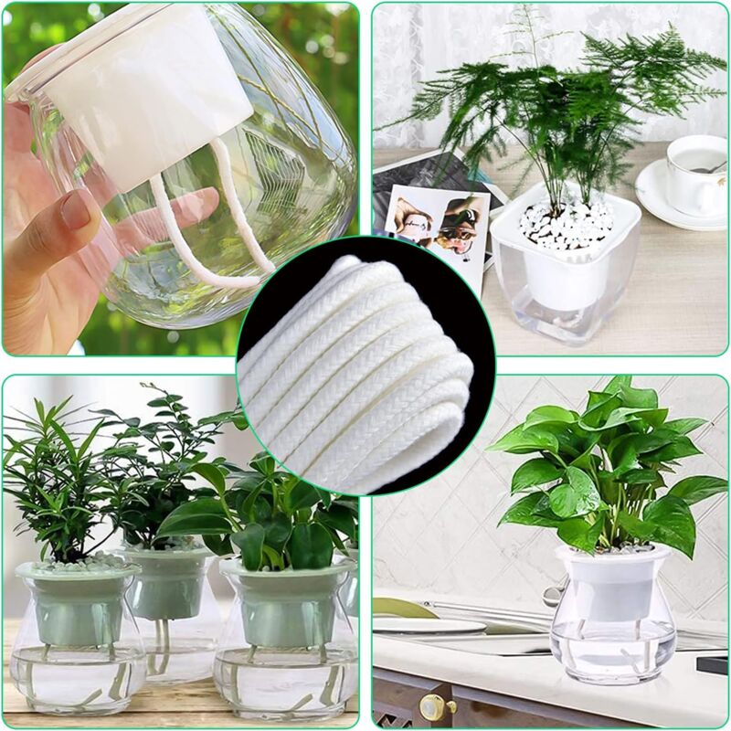 COSTAWAY Fioriera Da Esterno Per Piante Rampicanti Verdure Con Auto Irrigazione E Fori Di Drenaggio, Ideale Per Giardino, Cortile E Balcone (80 X 40 X 122 Cm - Foto 2