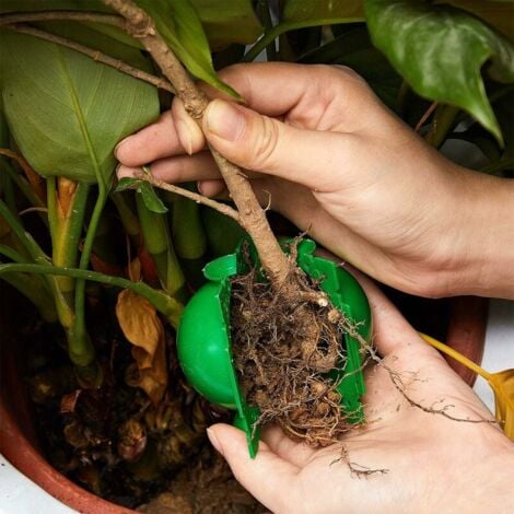 Plant Assisted Rooting Box with Grafting Device - Botanical Root Controller (20 pcs, Green)