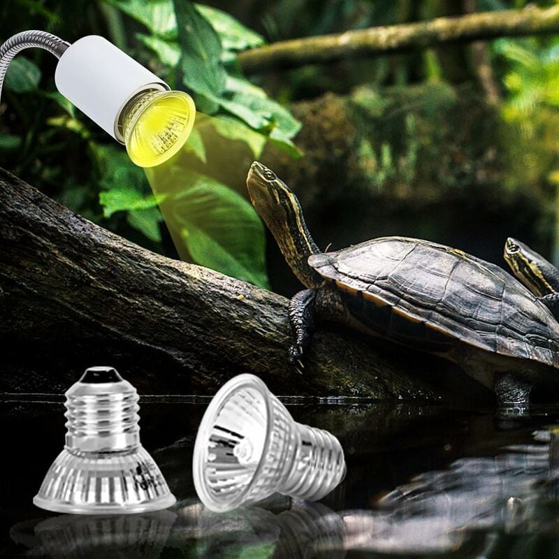 Neeenn Hermit Crab Heat Lamp, Reptile Heat Lamp With Clamp