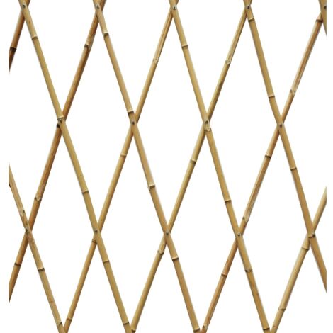 Faura – Celosía extensible de bambú 120 x 240 cm – Resistente a la intemperie – Soporte para plantas trepadoras – Instalación rápida y sencilla (1/3)