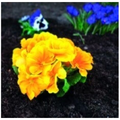 Malla Jardin 1,5X10M Antihierba Natuur Pp Marr Nt124554