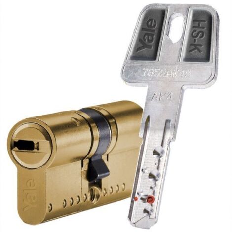 Cilindro Seguridad  30X30Mm Hsk Niquel Yale (1/2)