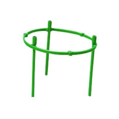 Supports De Plantes Grenouille - Lot De 5, Pour Plantes Grimpantes, Stabilité Et Décoration Pot