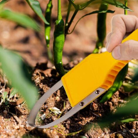 Désherbeur Manuel Jardin - Arrache Pissenlit Acier Inoxydable - Outil à Main Pour Mauvaises Herbes