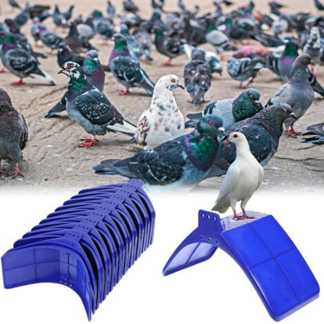 Lot De 10 Faux Œufs Blancs En Plastique Pour Pigeons Et Oiseaux - Éclosion Assistée Et Loisirs Créatifs