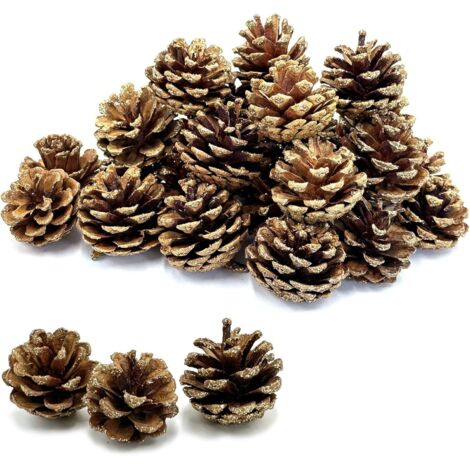 Große Tannenzapfen mit goldenem Glitzer, 2,8–3,8 cm, natürliche Tannenzapfen zum Dekorieren, Tannenzapfen, Dekorationen für Herbst, Weihnachten, Basteln, Vasen- und Schüsselfüller, Heimdekoration (1/5)