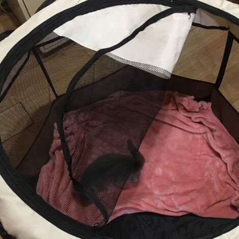 8pcs Foldable Pet Tent Mesh House Portable Collapsible Puppy Playpen Cage Play Fences for Dogs Cats Rabbits Kennel (77cm X 43cm,Brown)