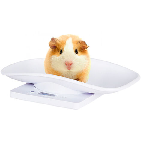 Digital Haustierwaage Tierwaage Katzen Welpen Digitalwaage Bis - Foto 6