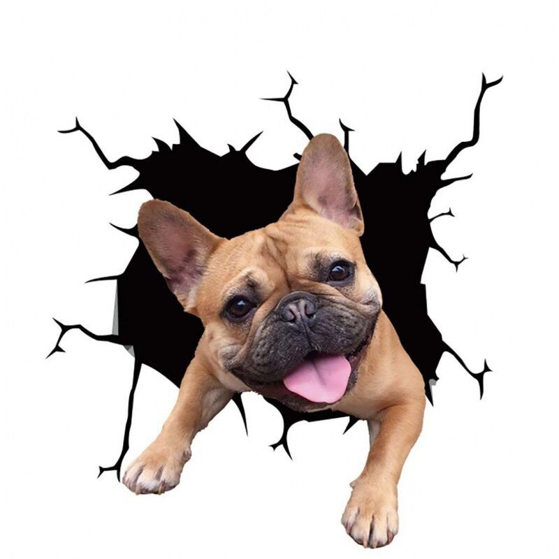 Adesivo in Vinile per Auto con Bulldog Francese, 12,7 cm