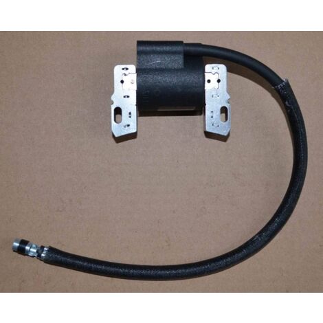 PER BRIGGS & STRATTON BOBINA ACCENSIONE MAGNETO ARMATURA 495859 - Foto 11