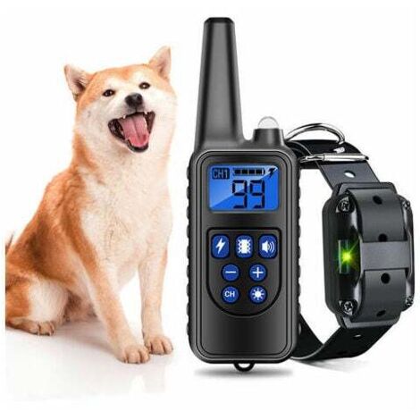 NUOVO Set Allarme Morso DAM MADCAT TOPCAT – Wireless Con Custodia Impermeabile E Ricarica USB