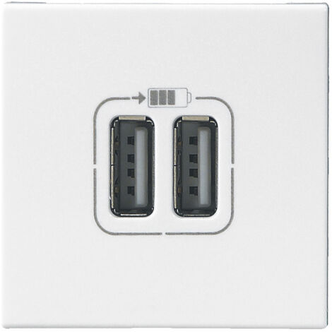 Legrand – Prise double USB Type-A 3A 2 modules – Puissance 15W – Raccordement Phase-Neutre – Installation facile sur supports variés (1/5)